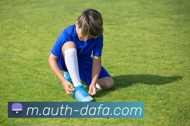 大发彩票平台生态图