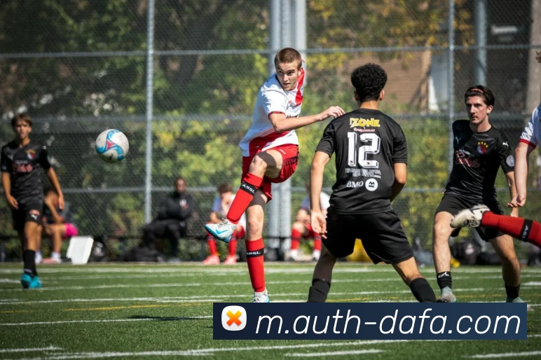 大发彩票APP 封面图